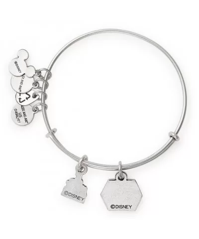 Fantasyland Castle ''Best Day Ever'' Bangle by Alex and Ani $13.16 ADULTS